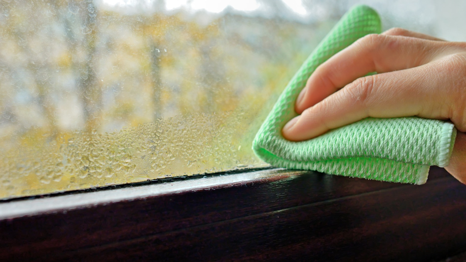 Why Your Windows Are Sweating Indoors and What to Do